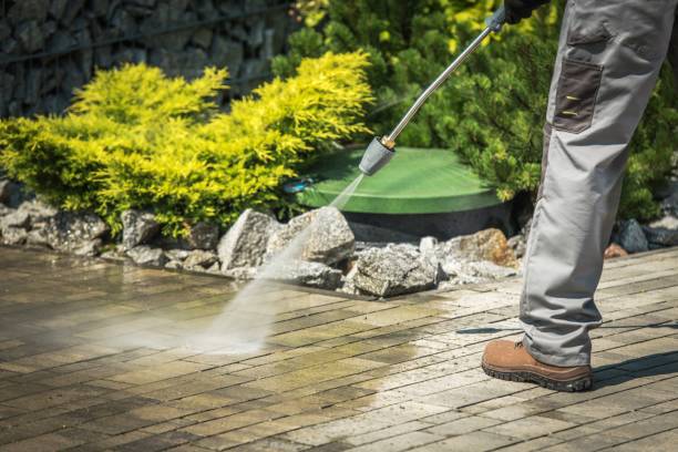 Best Sidewalk and Walkway Cleaning  in Eustace, TX