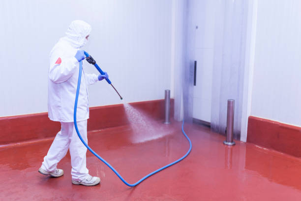 Best Sign and Awning Cleaning  in Eustace, TX