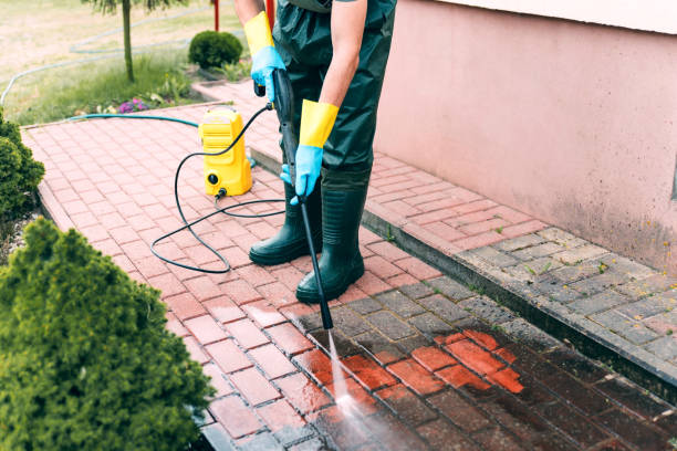 Best Gutter Cleaning  in Eustace, TX
