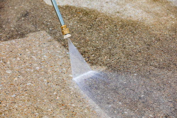 Best Animal Enclosure Cleaning  in Eustace, TX